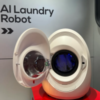 AI Laundry Robot